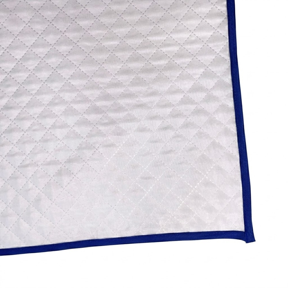 Tapete Higiênico Clean Azul (2).jpg