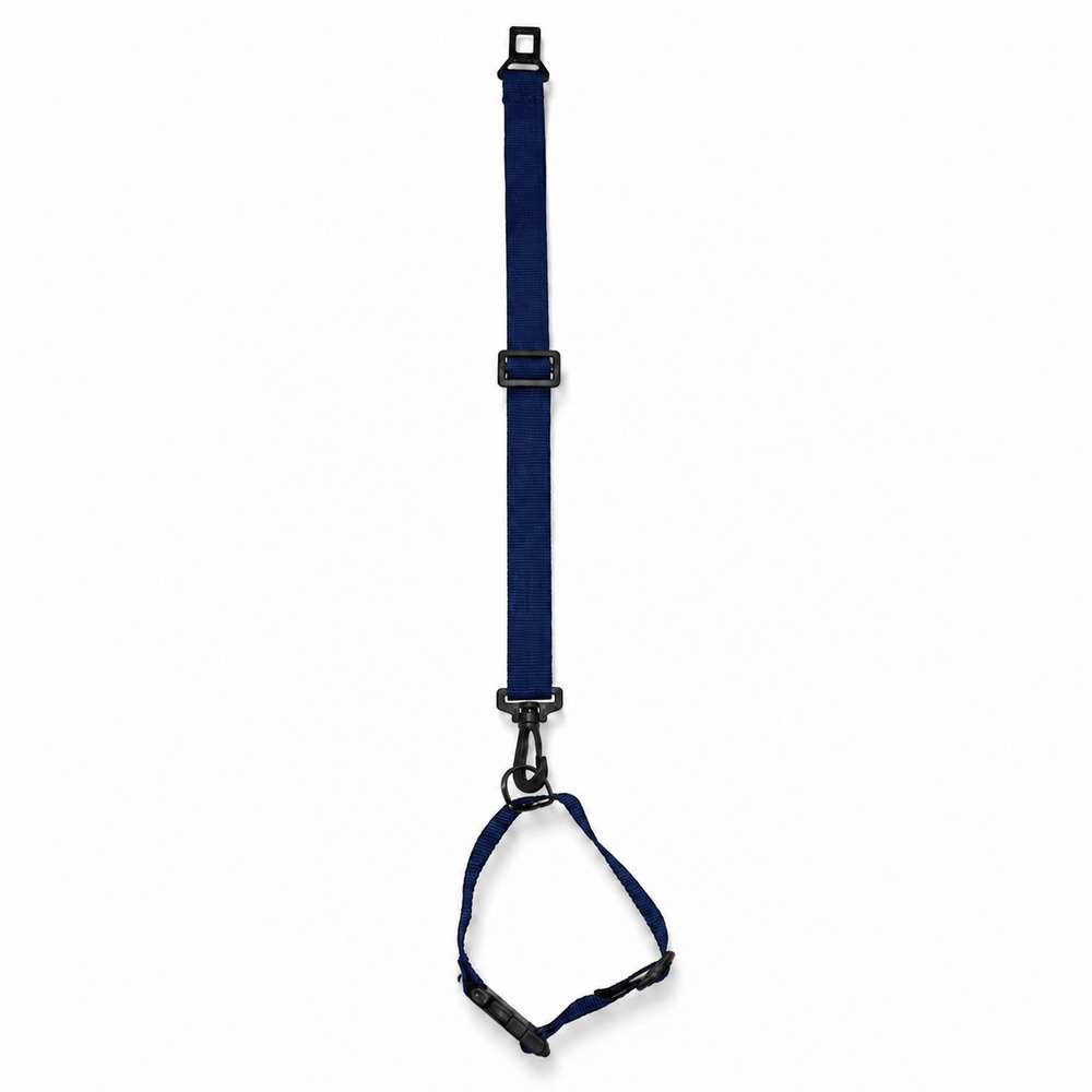 Conjunto Coleira + Cinto de Segurança Pet Azul (1).jpg