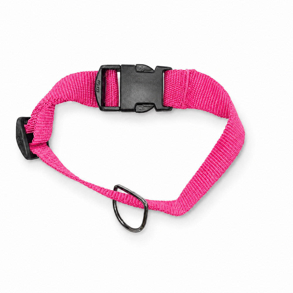 Coleira Pet Pink (1).jpg