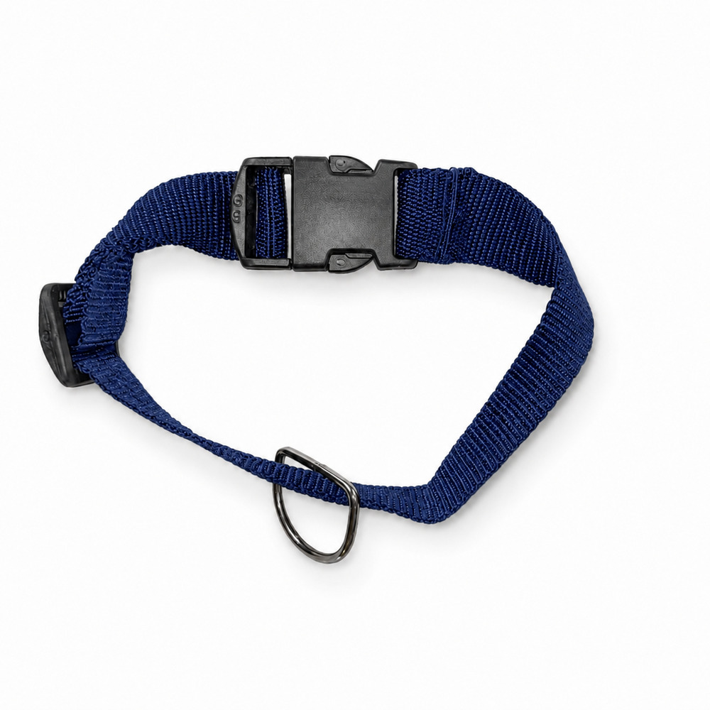 Coleira Pet Azul (1).jpg