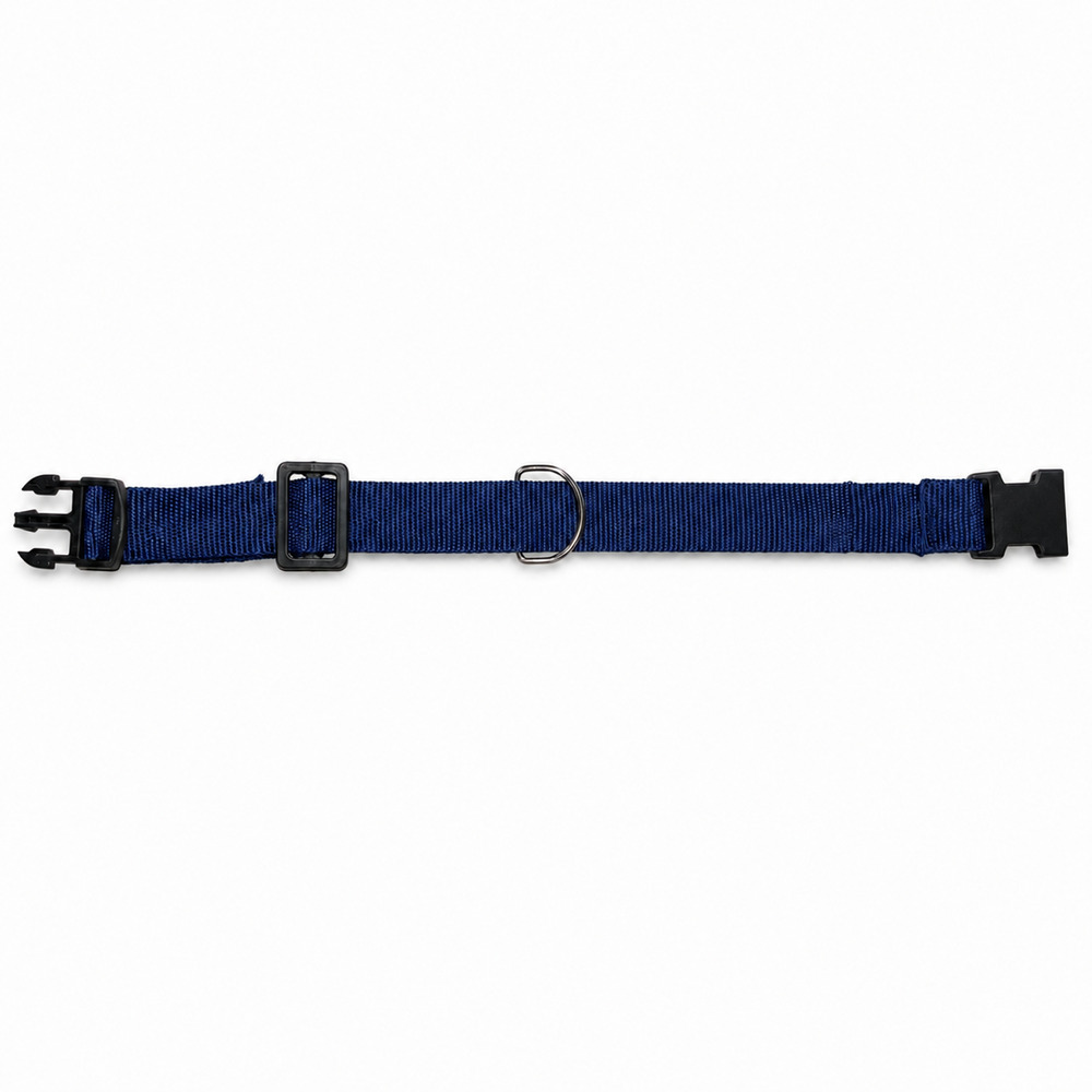 Coleira Pet Azul (2).jpg