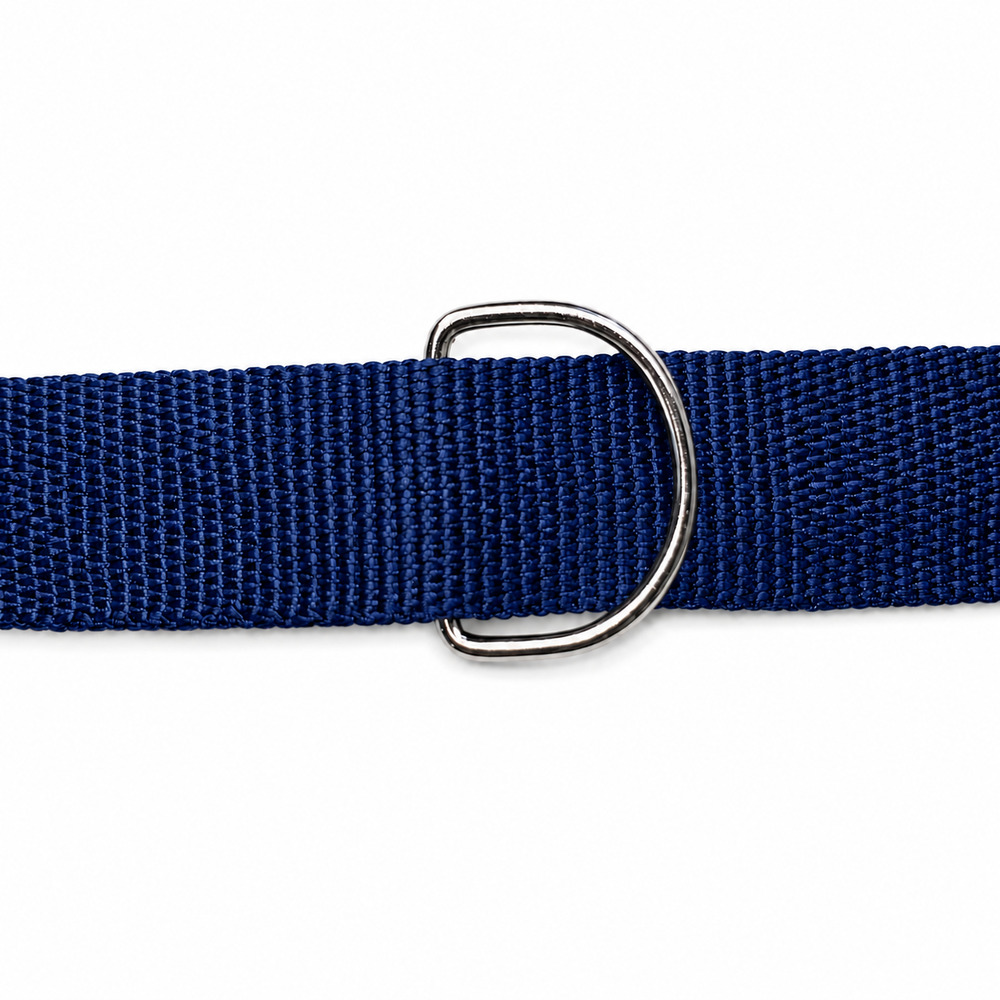 Coleira Pet Azul (5).jpg