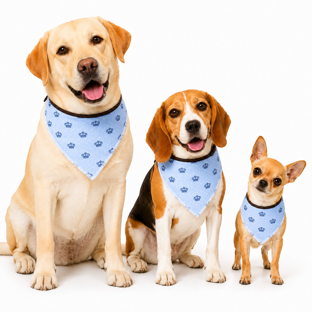Bandana Pet Dereck Realeza Azul (4).jpg
