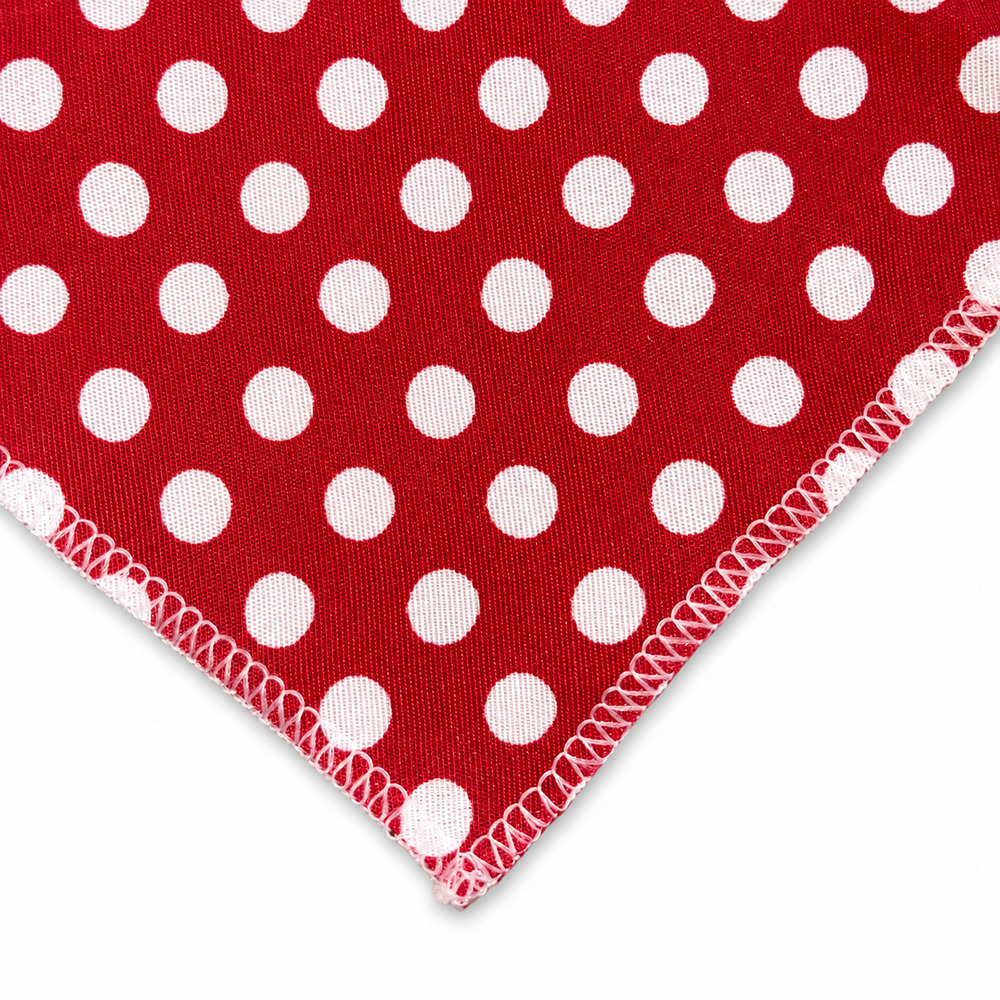 Bandana Pet Dereck Minnie (2).jpg