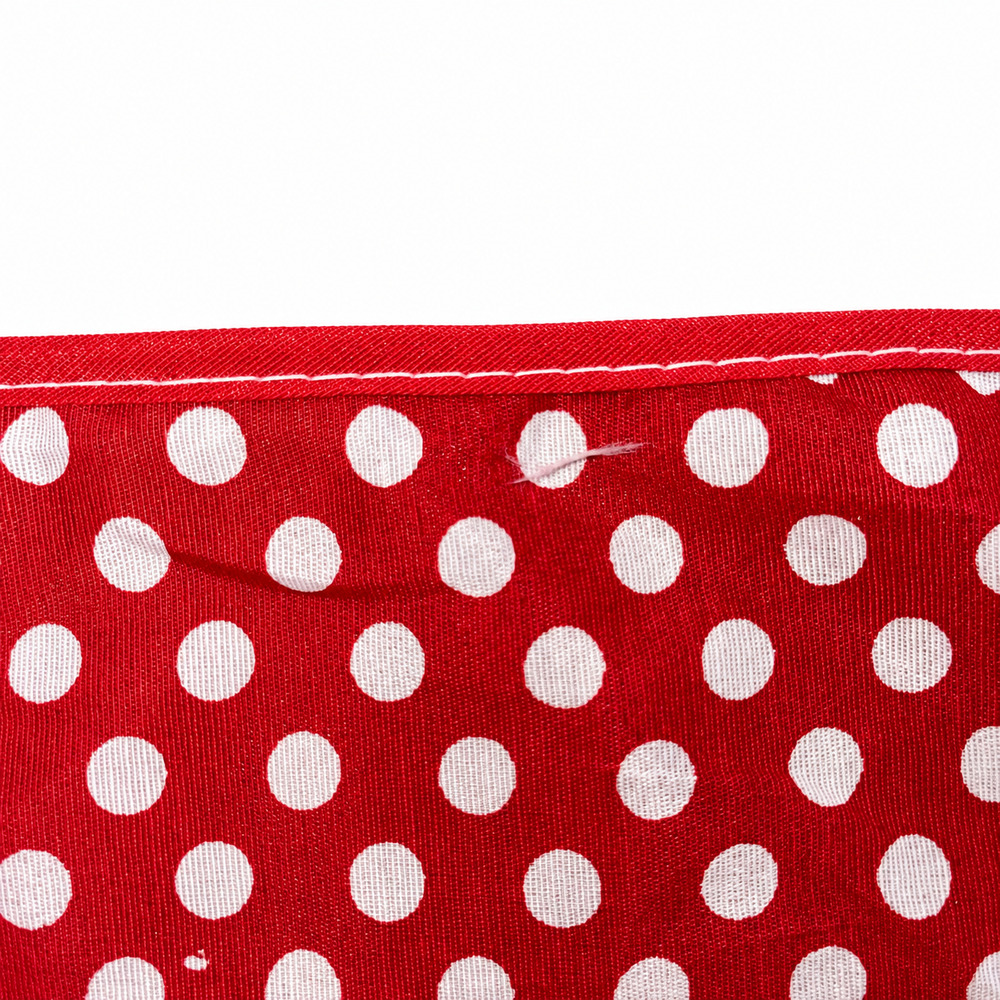 Bandana Pet Dereck Minnie (3).jpg