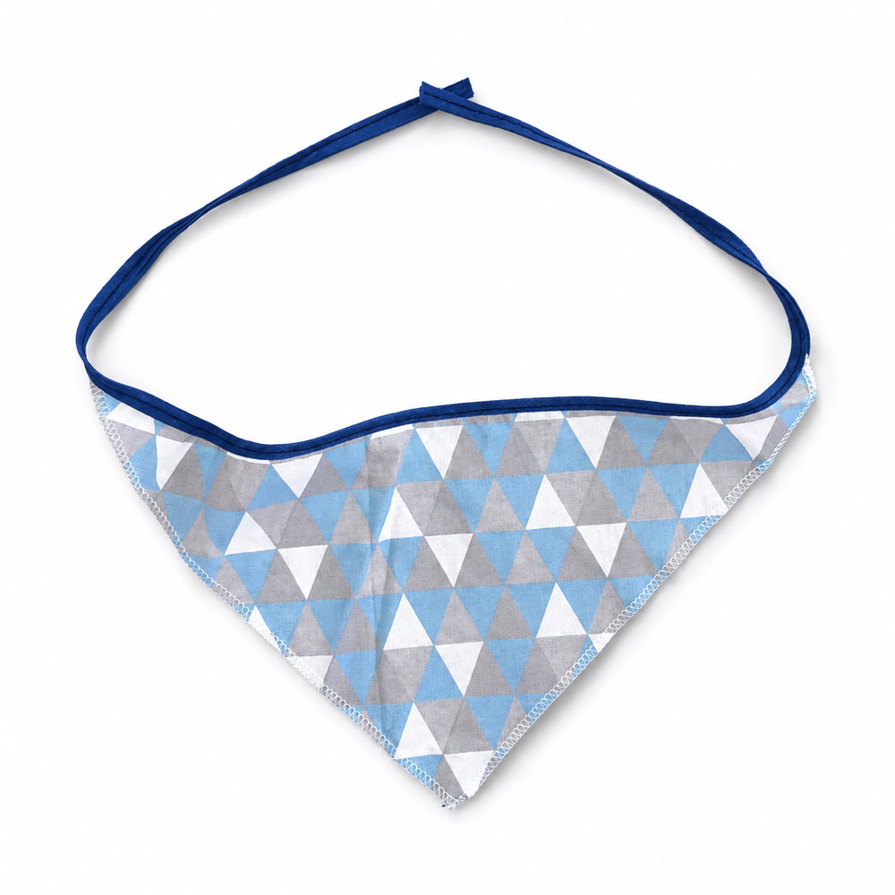 Bandana Pet Dereck Luck (1).jpg