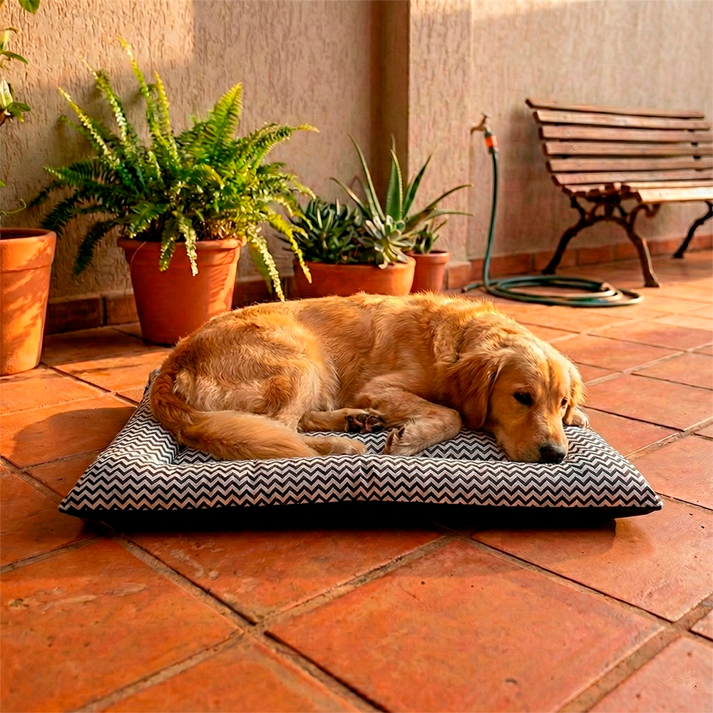 Colchonete Pet Impermeavel Quality Collor Preto (6).jpg