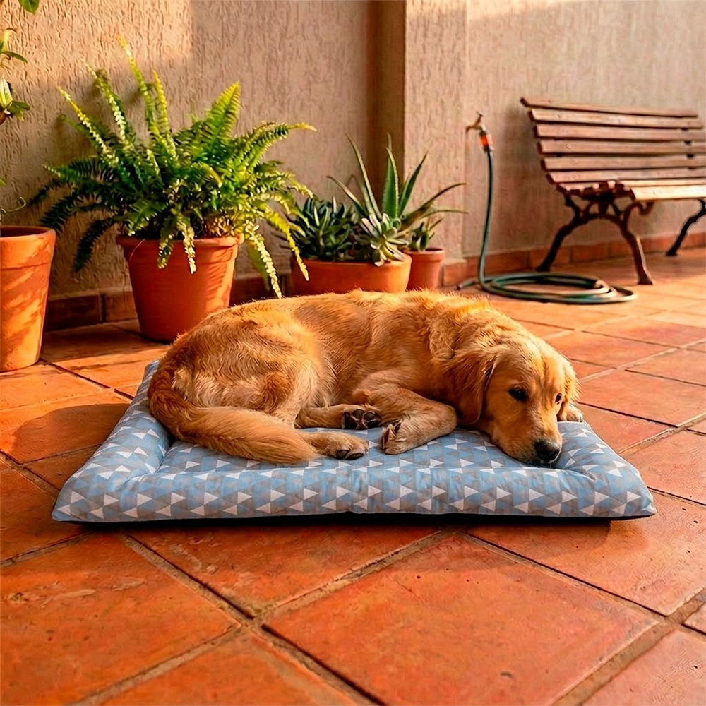 Colchonete Pet Impermeavel Quality Collor Azul (6).jpg