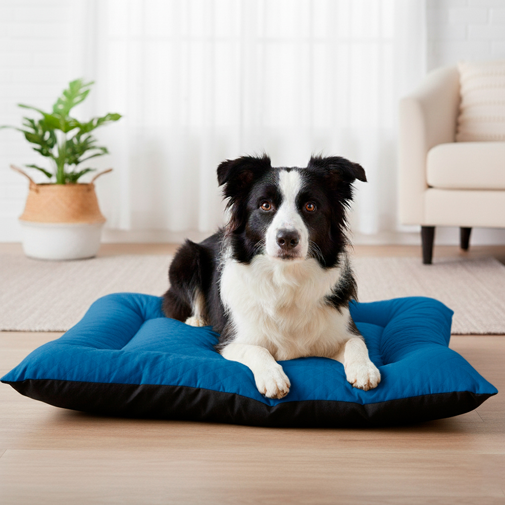 Colchonete Pet Impermeavel Toddy Grande Azul (5).jpg
